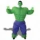 Déguisement incroyable Hulk