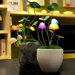 Veilleuse design champignon à LED