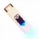 Briquet USB