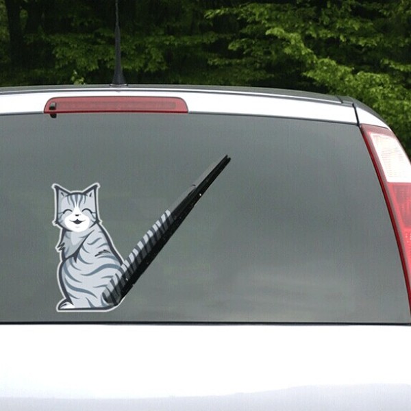 Chat CAT KITTEN autocollant mural sticker vitre arrière voiture Miroir