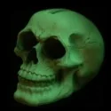 Tirelire fluorescente tête de mort