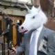 Masque intégral licorne en latex