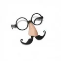 Lunettes nez et moustache